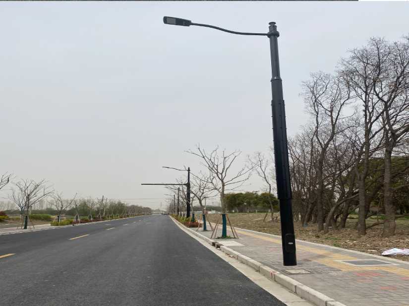 思明区上海综合杆 太阳能路灯工程